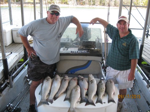 Nice Striped Bass